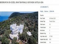 Bodrum’daki Satılık Adanın Fiyatı Dudak Uçuklattı