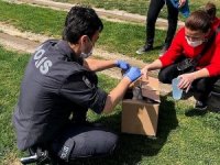 Polis Memuru, Aç Martının İmdadına Yetişti