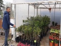 Covid-19 Salgını Çiçeklere Olan İlgiyi Artırdı
