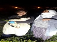 Demir Boru İçinde Mahsur Kalan Oğlak İtfaiye Ekipleri Tarafından Kurtarıldı