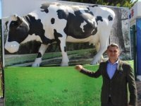 Süt Üreticisin En Büyük Sıkıntısı Artan Yem Fiyatları Oldu