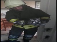 Havalandırma Borusuna Mahsur Kalan Yavru Kedi Duvar Kırılarak Kurtarıldı