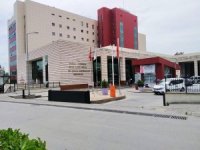 Alo Gebe Whatsapp Hattı Kuruldu