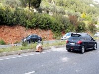 Yola Düşen Kaya Parçasından Şans Eseri Kurtuldular