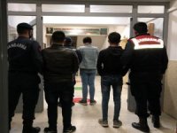 Tire’de Küçükbaş Hayvan Hırsızlığına 3 Tutuklama