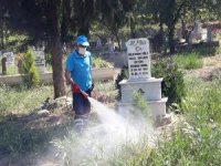 Sarıgöl’ün Mezarlıklarında Hummalı Çalışma