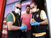 Kıraathanede Mahsur Kalan Kedi Ve 2 Yavrusu Kurtarıldı