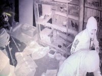 Manisa’da Güvercin Hırsızları Kameraya Yakalandı