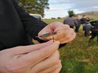 Tire’de Çekirgelere Karşı Mücadele Çalışmaları Başladı