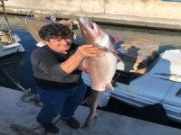 Bodrum’da Ağlara Köpek Balıkları Takıldı