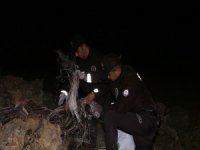 Kablo Hırsızı Yaklaşık 300 Kilo Kabloyu Yakarken Suçüstü Yakalandı