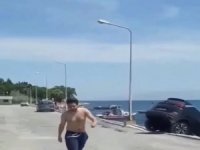 Lüks Cipi Denize Atıp Yoluna Devam Etmişti, Psikolojik Sorunları Varmış