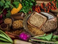 Ata Tohumları Türkiye’nin Her Yanına Gönderildi