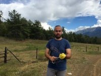 Şehir Merkezinde Bulunan Bukalemun Ve Yılan Doğaya Salındı