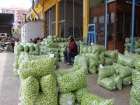 Aydın’da Erik Üreticisine Tat Vermedi