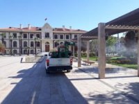 Manisa’da Hem Virüsle Hem Haşereyle Mücadele