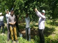 Köşk Ziraat Odası, Çiftçilerin Gününü Tarlada Kutladı