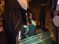 Spor Yaparken Bacağını Mazgala Sıkıştırdı, Yardıma İtfaiye Koştu