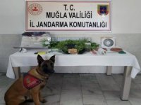 Dalyan’da Uyuşturucu İmalathanesine Operasyon