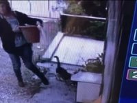 Bu Da Oldu: İzmir’de Bir Kadın Saksı Çalarken Kameraya Yakalandı