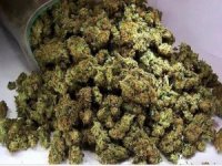 Kargo İle Uyuşturucu Ticaretine Suçüstü