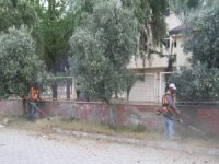 Kuyucak Yaza Hazırlanıyor