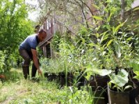Kendisini Ağaçlara Adadı, Okullara Fidan Dikip Gözü Gibi Bakıyor