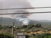 Muğla’da Orman Yangını