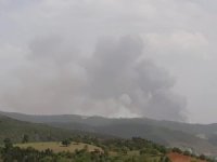 Kütahya’da Orman Yangını