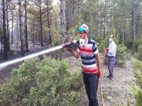 Kütahya’daki Orman Yangınında 50 Hektarlık Alan Zarar Gördü