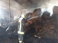 Besihanede Çıkan Yangında 4 Hayvan Telef Oldu