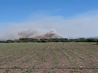 Köyceğiz’de Zirai Ve Zeytinlik Alanda Yangın