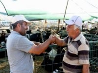 Hayvan Pazarlarında Tokalaşma Tarihe Karışıyor