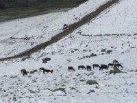 Şuhut’ta Kar Yağışı