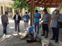 Söke Kocacami’de Şükür Kurbanı Kesildi