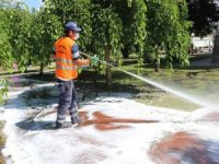 Efeler Güneşli Günlere Hazırlanıyor