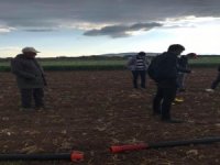 Başkan Hikmet Koyak: "Çiftçinin Zararı Büyük"