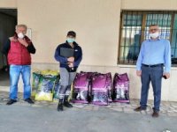 Sökeli Hayvan Severler Sokak Hayvanlarını Yalnız Bırakmıyor