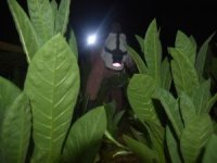 40 Gün Boyunca Uykuyu Unutuyorlar