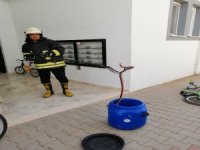 Fethiye’de İtfaiyeden Yılan Yakalama Operasyonu