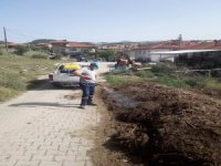 Gördes’te Virüsle Ve Haşereyle Mücadele