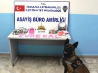 Tavşanlı’da Uyuşturucu Operasyonu