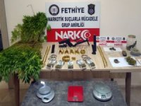 Lüks Villayı Kenevir Tarlasına Çevirmiş