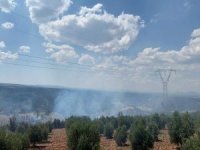 Denizli’de Ormanlık Alanda Ki Yangında 50 Hektar Zarar Gördü