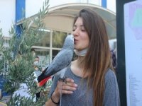 İzmir’de Sosyal Mesafeli Yks Başladı