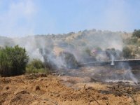 Makilik Alanda Çıkan Yangın, Ağaçlık Alana Sıçradı