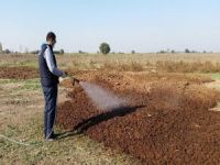 Akhisar’da Haşereyle Mücadele Devam Ediyor