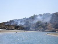 Seydikemer’deki Orman Yangınında 2 Hektar Alan Zarar Gördü