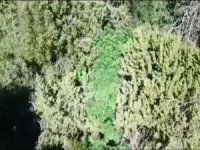 Ormanlık Alana ’Drone’lu Kenevir Operasyonu