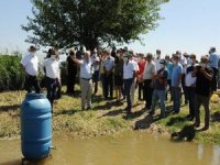 Adü Ziraat Fakültesi’nde Gübrelemede Sulamaya Bağlı Kayıpların Önlenmesi İçin Çalışma Yapıldı